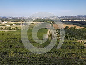 Panoramic view of scenic Tuscany landscape with vineyard in the Chianti region, Tuscany, Italy