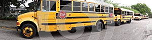 Panoramic view of school buses