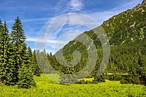 Panoramic view of the Seven Granats ridge - Siedem Granatow - within the Zabia Gran range over Rybi Potok Valley in Tatra