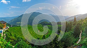 Panoramic View of Seven Stars Accompany the Moon Rice Terraces