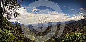 Sierra Madre del Sur near San Jose del Pacifico, Oaxaca. photo