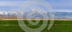 Panoramic view of Sierra mountains and sfields near Bishop,California photo