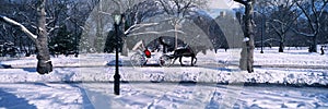 Panoramic view of snowy city street lamps, horse and carriage in Central Park, Manhattan, New York City, NY on a sunny winter day photo