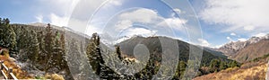 Panoramic View of Snowy Pine Trees with High Mountain Background in Huanglong, China