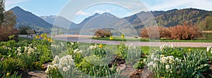 Panoramic view  spa gardens schliersee in spring