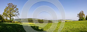 Panoramic view of spring countryside with green meadow and fores