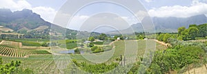 Panoramic view of Stellenbosch wine route and valley of vineyards, outside of Cape Town, South Africa