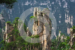 Stone pillars of Tianzi mountains in Zhangjiajie photo