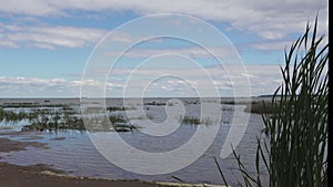 Panoramic view of the stony coast of the Gulf of Finland in sunny summer day