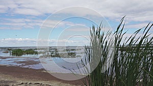 Panoramic view of the stony coast of the Gulf of Finland in sunny summer day