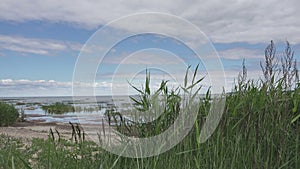 Panoramic view of the stony coast of the Gulf of Finland in sunny summer day