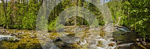 Panoramic view of a stream in Montana wilderness