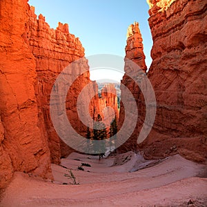 Panoramic view the switchback Navajo Trail in Bryce Canyon National Park