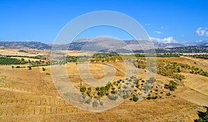 Panoramic View Of Summer Andalusian Lanscape Near Ronda, Province Of Malaga, Spain