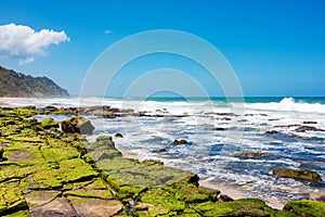 Panoramic view on summer beach