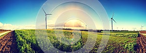 Panoramic view of summer countryside with wind turbines and agri