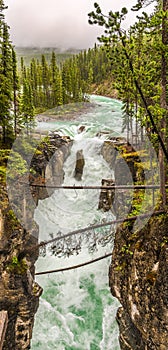 Panoramic view of the Sunwapta falls gorge in Jasper National Park - Canadian Rocky Mountains