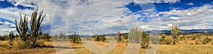 Panoramic view of the Tatacoa Desert, Colombia photo