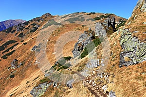 Panoramic view of Tatra Mountains in Lesser Poland - Western Tat