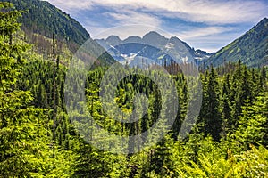 Panoramic view of Tatra Mountains with Mieguszowieckie Szczyty peaks ridge over Rybi Potok Valley seen from track to Morskie Oko