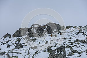 Panoramatický výhled na Tatry na Slovensku pokryté sněhem