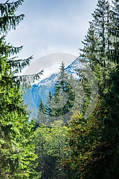 Panoramic view of tatra mountains in slovakia in sunny day with blue sky