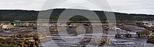 Panoramic view of timber and logging industry in Ladysmith, BC