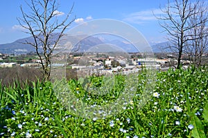 Panoramic view to the Alps of Lecco and the Brianza plain in a sunny spring day.