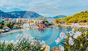 Panoramic view to Assos village in Kefalonia, Greece. Bright white blossom flower in foreground of turquoise colored