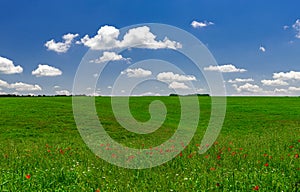 Panoramic view to green field with clouds in the blue sky