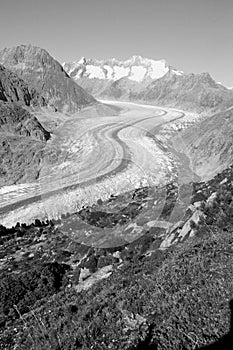Panoramic view to the longest glacier in the Swiss Alps - the Aletschglacier - which is melting dramatically due to global clima photo