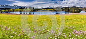 Panoramico sul montagna allineare per un prato fiori sul primavera 