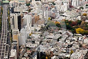 Panoramic view of Tokyo