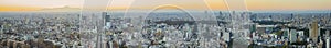 Panoramic View of Tokyo Skyline at Blue Hour in Japan with Mountain Fujiyama In The Background