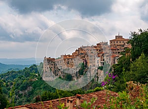 Panoramic view of Tourrettes-sur-Loup town in Provence, France photo