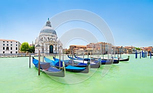 Panoramic view of traditional venetian gondolas moored in water of Grand Canal in front of Basilica di Santa Maria della Salute