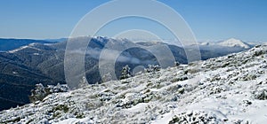 panoramic view of trees covered in snow and frozen in the wind photo