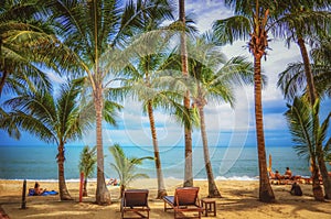 Panoramic view of tropical beach with coconut palm trees