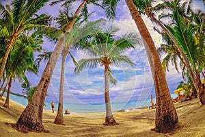 Panoramic view of tropical beach with coconut palm trees