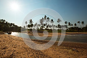 Panoramic view of tropical beach with coconut palm trees. Koh Sa