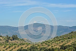 Panoramic view of the typical landscape of the Douro, in the north of Portugal