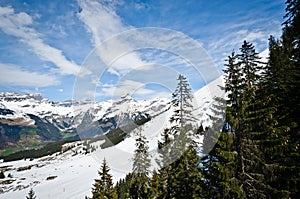 Panoramic view of Urner Alps