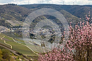 Panoramic view on the valley of the river Moselle