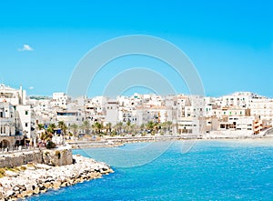 Panoramic view of Vieste photo