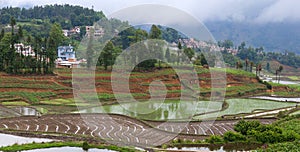 Village over terraced rice fields in Yuanyang, Yunnan Province of China