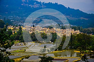 Panoramic view of Village of hani people over terraced rice fields in Yuanyang, Yunnan Province of China