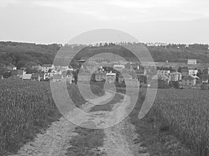 Grey shaded - Panoramic view on a village with multicolored houses behind a field with a dirt road in the middle and forests on hi