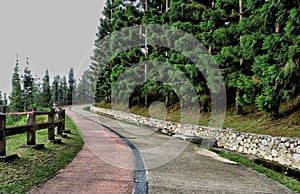 Panoramic view walking path at Taman Saujana Hijau Putrajaya one of recreational place in Presint 11 Putrajaya