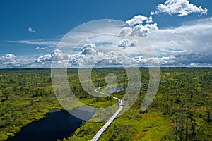 Panoramic view of a walking trail in swamp.