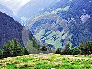 Panoramic view at the Weisstannen village and on the Weisstannental valley